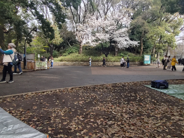 2026年3月28日 お花見